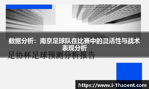 数据分析：南京足球队在比赛中的灵活性与战术表现分析